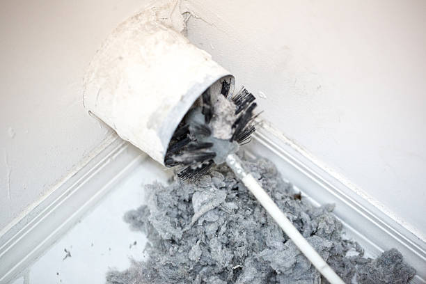 Best Mold and Mildew Removal from Ducts in Bismarck, ND